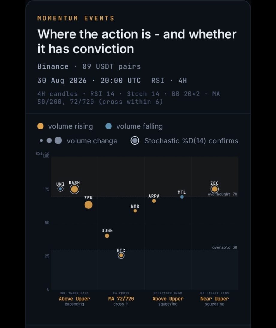Momentum Insights